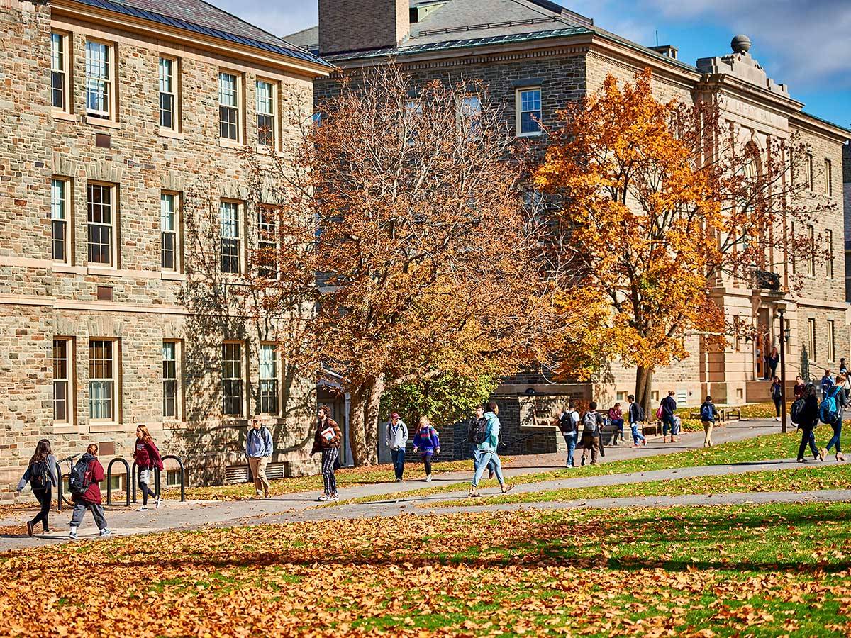 Students walk to class on the sunny Academic Quad amidst autumn foliage